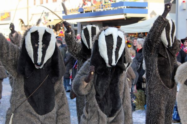 Ortenauer Narrenbund 1981 e.V.